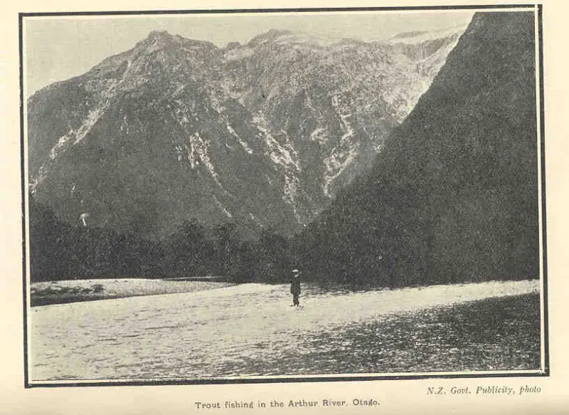 Trout fishing on the Arthur River in Otago