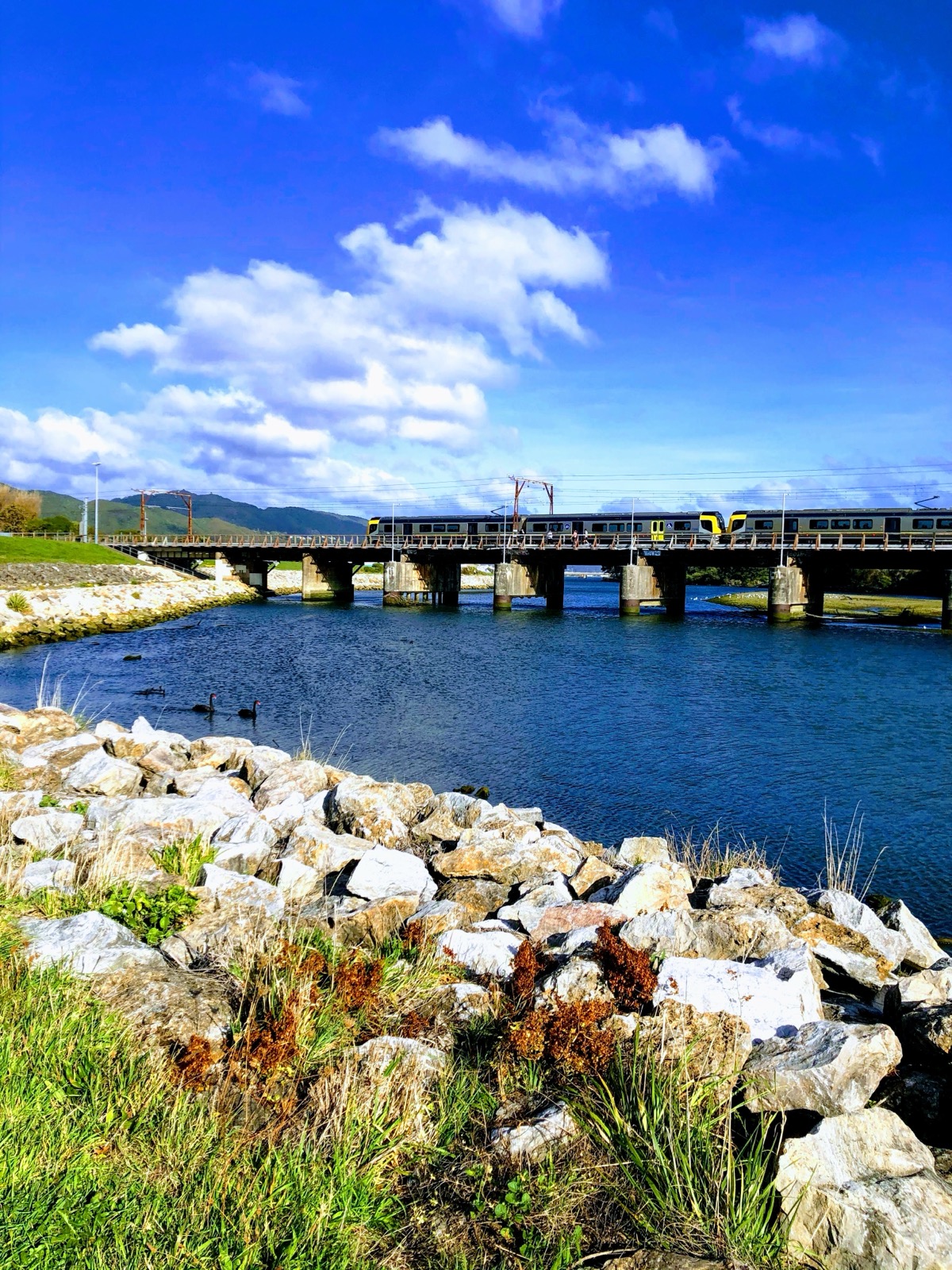 Te Awa Kairangi Hutt River looking downstream in Wellington