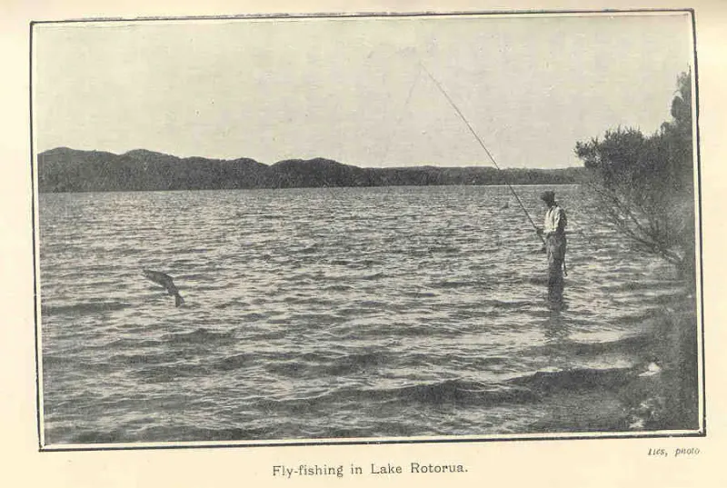 Angler fly fishing from the shore of a Rotorua lake