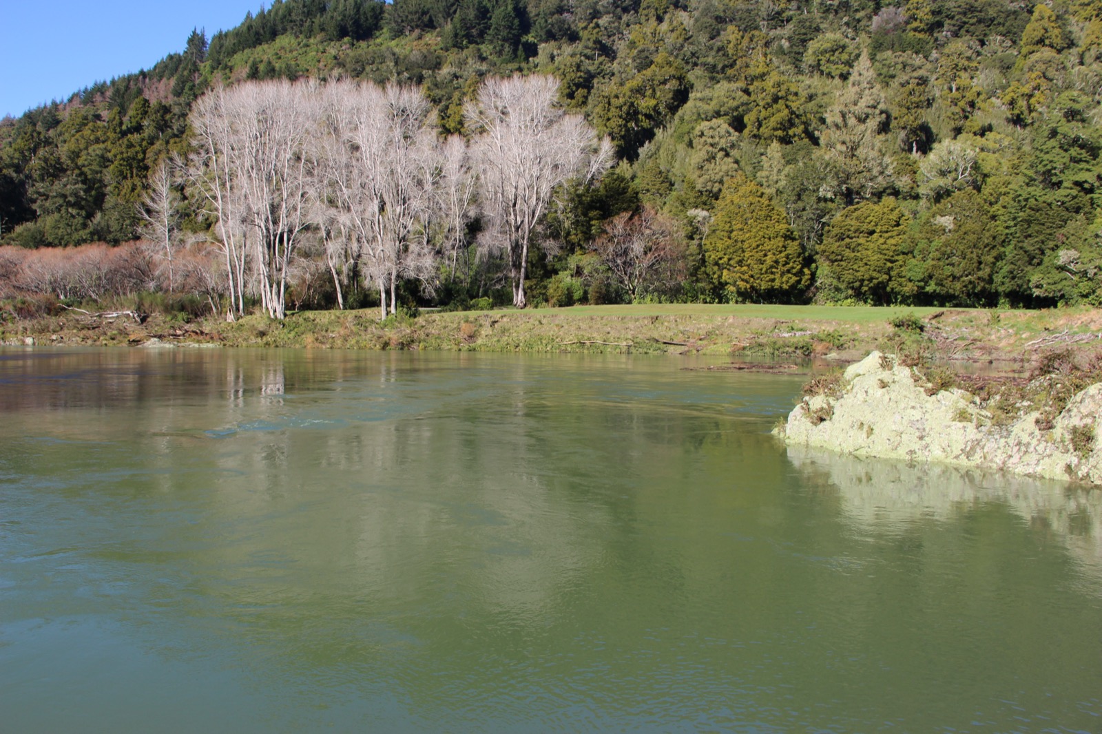Pelorus River in Nelson/Marlborough, New Zealand