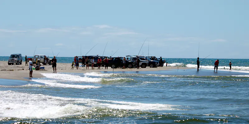 Angler fishing the Rangitaiki River in the Eastern Fish and Game region