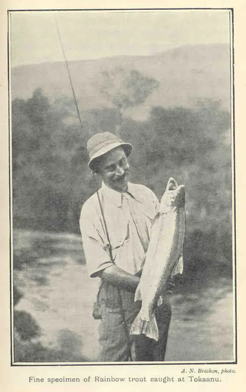 Angler holding a rainbow trout caught at Tokaanu