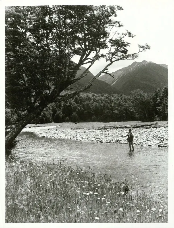 Trout fishing in the Travers River, South Island, New Zealand
